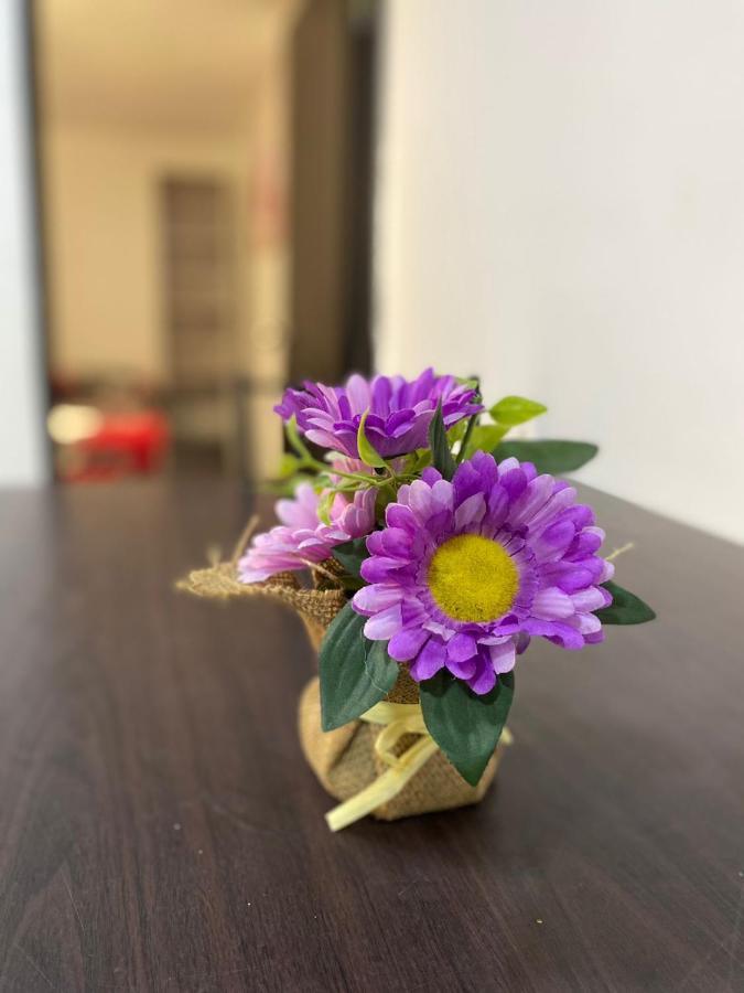 Apartamentos Excelente Ubicacion メデジン エクステリア 写真